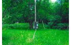 Property photo 3 - LAND AUCTION - 278.5+/- Acres Offered in 5 Tracts
